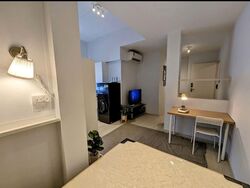 Hoot Kiam Mansion (D10), Apartment #580660051
